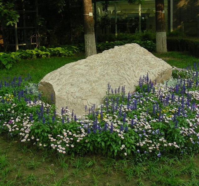 Fossil of flower